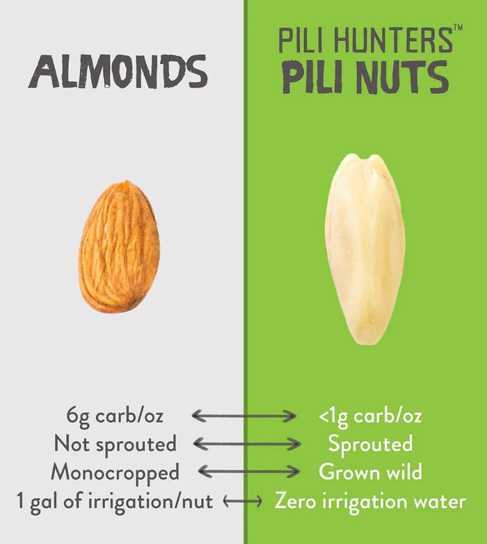 Almonds Verses Pili Nuts Pili Hunters Comparison