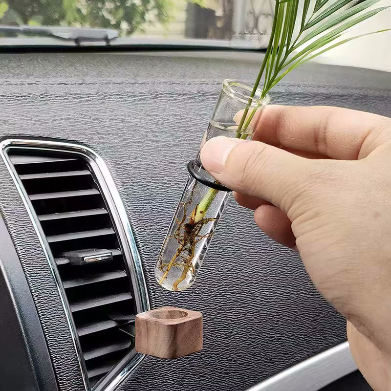 Glass Tube Vase And Walnut Wood Car Decor For Flowers And Fresh Plants